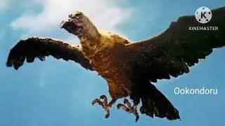Ookondoru sounds (giant condor)