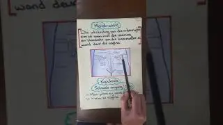 Gr.9 Die Voortplantingstelsel (1)