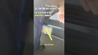 Against all odds_ A daring rescue mission saves a terrified cat!