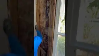Clean Demolition Done Right! | Naranin Construction Group in Action #demolition #construction