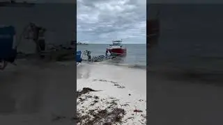 Lancelin Beach Retrieve