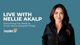 Year-End Delayed Filings Explained: How to Save Money & Start Your Business on January 1st