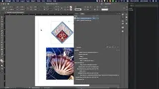 InDesign Quick Tip – Linked vs Embedded Images