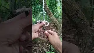 How to tie a Sheet Bend Knot #knot #short