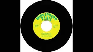 Widespread Panic - Coconut Image