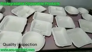Eco-friendly 100% Biodegradable Compostable food packaging container takes out box China factory