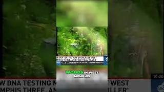 The Chilling Mystery of the West Memphis 3