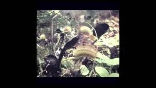 Blessure Grave - Hope For The Worst