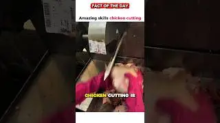 chicken cutting