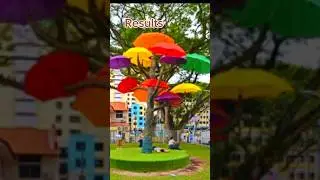 funny video#watch till end#umbrella tree#shorts#bunny