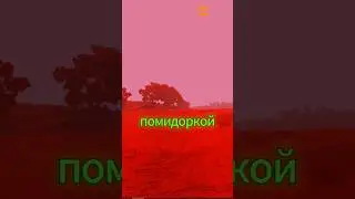 3 причины провала в красных полях #backrooms #liminalspace