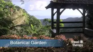 Martinique a Nature Lovers Paradise in the Caribbean
