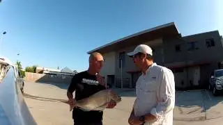 Gobblers Lures  - John's Peel Island Snapper