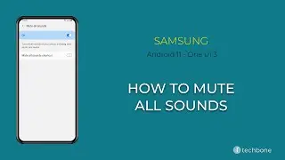 How to Mute all sounds - Samsung [Android 11 - One UI 3]