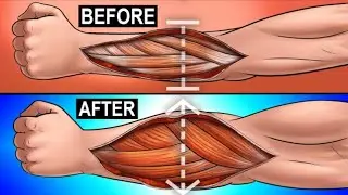6 Easy Forearm Exercises for Bigger Stronger Arms at Home | body fitness #health
