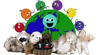 Just Think If Everyone Did That | Social-Emotional Learning (SEL) Songs for Kids | A LITTLE SEL
