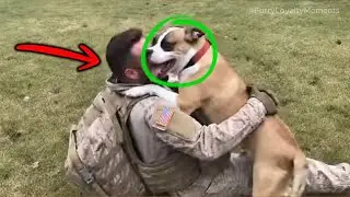😭 Soldier Comes Home in the Rain &mdash; Dog Knows Instantly 🐕