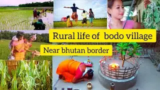 Rural life of bodo village during summer #reels #youtubeshorts #documentary #summer #youtuber