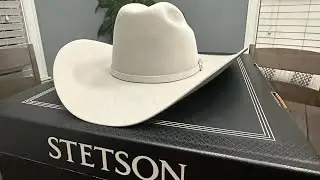 Stetson 10X Shasta Review (Premier Collection)
