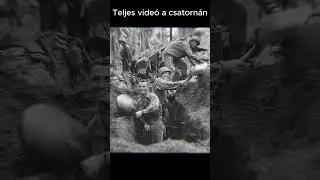 &Uacute;j-Guinea Pokla: A Jap&aacute;n Hadsereg &Ouml;sszeoml&aacute;sa a Dzsungelben 1942-1943