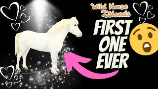 STARTING MY PURE WHITE COLLECTION / WILD HORSE ISLAND