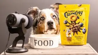 ASMR DOG EATS EXTREMELY CRUNCHY TREATS! 🍪