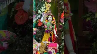 Sri Krishna Janmashtami 12025 ISKCON Ravet #radha #ShriKrishnaJanmashtami #krishna