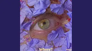 Where?