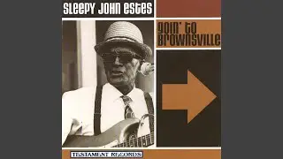 Sleepy John Estes Interviewed By Pete Welding