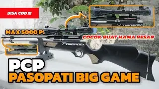 PCP PASOPATI BIG GAME SENAPAN ANGIN CLASSIC TABUNG STENLISS 5000 PSI BERBURU HAMA BESAR HARGA MURAH