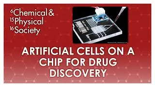 Artificial Cells on a Chip for Drug Discovery - Dr Katherine Elvira - Chemical and Physical Society