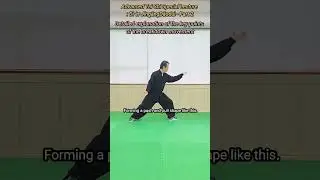 D&igrave;-&egrave;r JīngāngDǎodu&igrave; - Part 2: the key points of the breakdown movement: Advanced Tai Chi Lecture