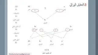 مربع كاي
