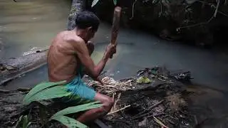 Matses: fishing with barbasco, 2018
