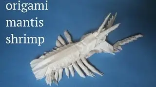 Origami Mantis Shrimp (Andrey Ermakov)