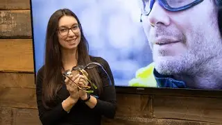 What Are the Different Shades of Safety Eyewear? | SPI Health and Safety