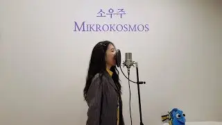 소우주 (Mikrokosmos) - 방탄소년단 (BTS) [REMIX//MASHUP] (COVER by WHY.Rin)