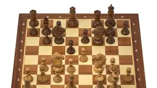Let's Play Chess❤💞❤💞❤💞❤💞