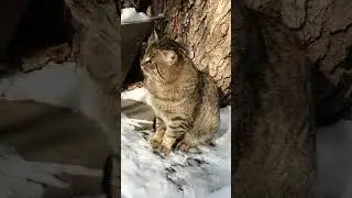 30 января 2026г. Сбербанк 2202203654418625 Елена К. Kaspi +7 771 194 42 69 Глеб Т.