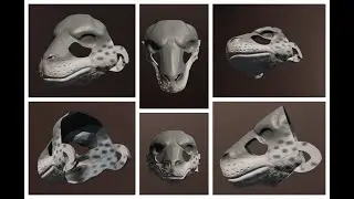 Leopard Seal Mask TImelapse