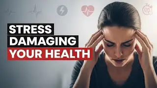 How Stress Is Secretly Damaging Your Body & Health