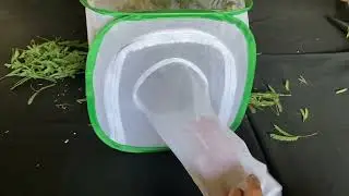 Flekcible insect rearing cage economical
