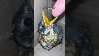 The next day we dropped him at the bird center!