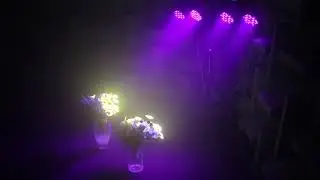U`King black lights glow in the dark party supplies