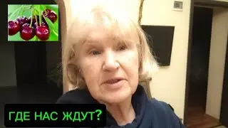 А КУДА БЕЖАТЬ? ЗАПОРОЖЬЕ-ТРЕВОГИ БЕСКОНЕЧНЫЕ.КИЕВ-НЕТ НИЧЕГО..