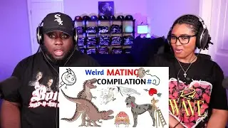 Kidd and Cee Reacts To Worst Mating Rituals In Animal Kingdom - Part 2