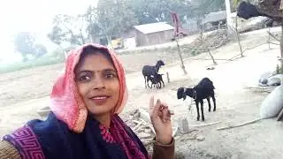 Meena हॉट वीडियो वायरल वीडियो ट्रेनिंग