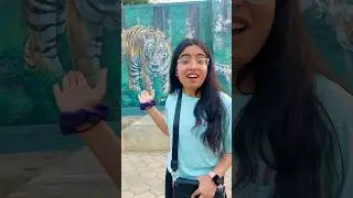 Hum chale jungle safari pe 🤩 #priyalkukreja #shorts #ytshorts