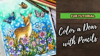 colour cute deer 🦌 with coloured pencils \ adult coloring book