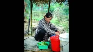 I single mother poor#  l single mother poorl single mother poor 